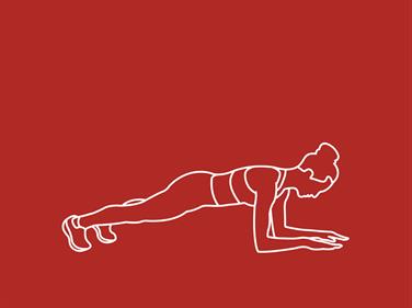 Image pour : 1 CRENEAU 100% ABDO